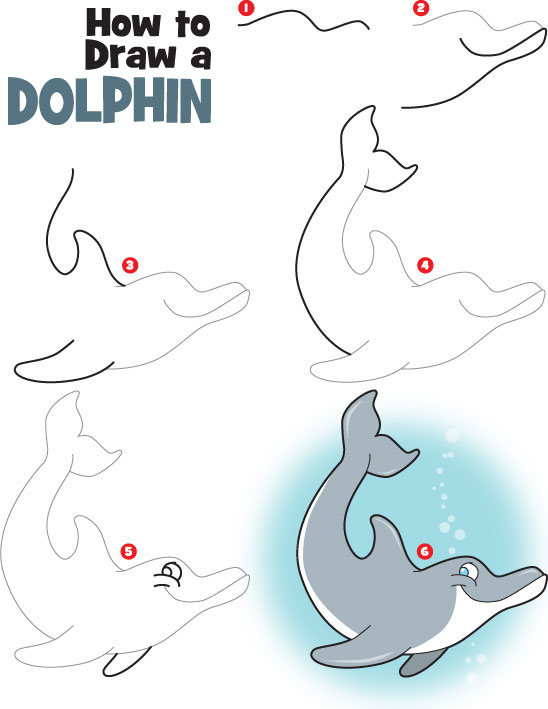 how-to-draw-a-dolphin