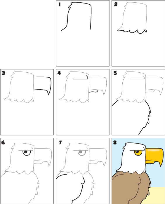 how-to-draw-an-eagle