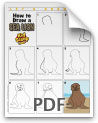 sealion-pdf